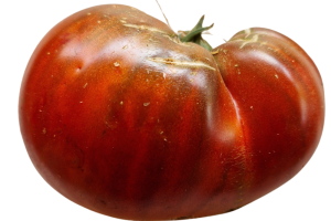 Tschernij  (Jernej) Prinz